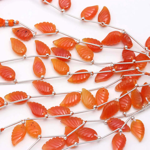 Carnelian Orange Shell Carving Natural Beads 8 inches Strands