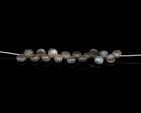 Labradorite Grey Shell Carving Natural Beads 4 Inches Strands