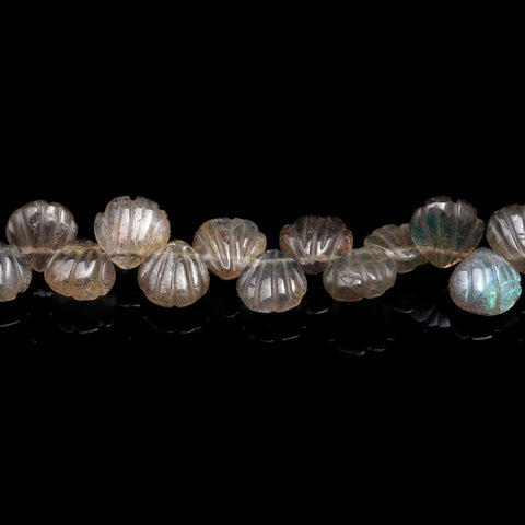 Labradorite Grey Shell Carving Natural Beads 4 Inches Strands