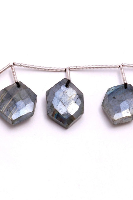 Mystic Coated Labradorite Hexagon Faceted Natural Beads