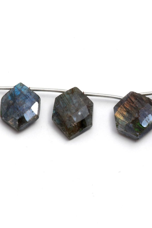 Mystic Coated Labradorite Hexagon Faceted Natural Beads