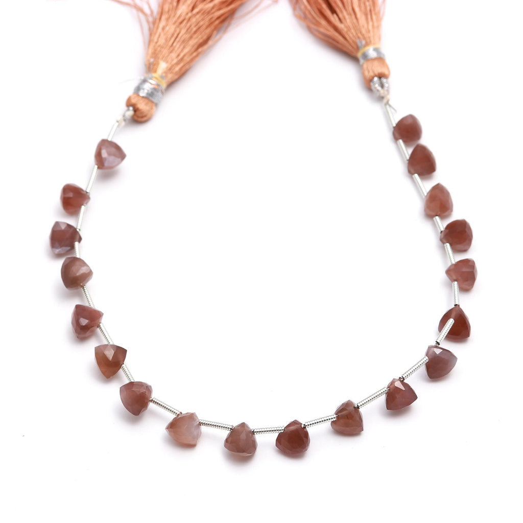 Chocolate Moonstone Brown Trillion Faceted Natural Beads 8 inches strands