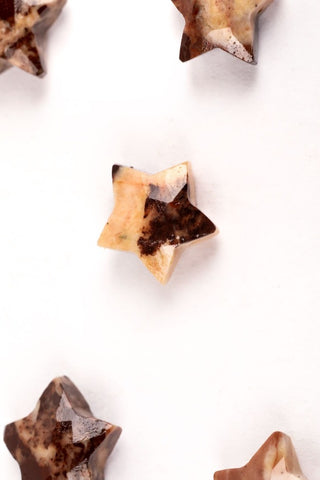 Picture Jasper Brown/Peach Star Faceted Natural Beads