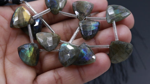 Labradorite Grey Axe Faceted Natural Beads 8 Inches Strands